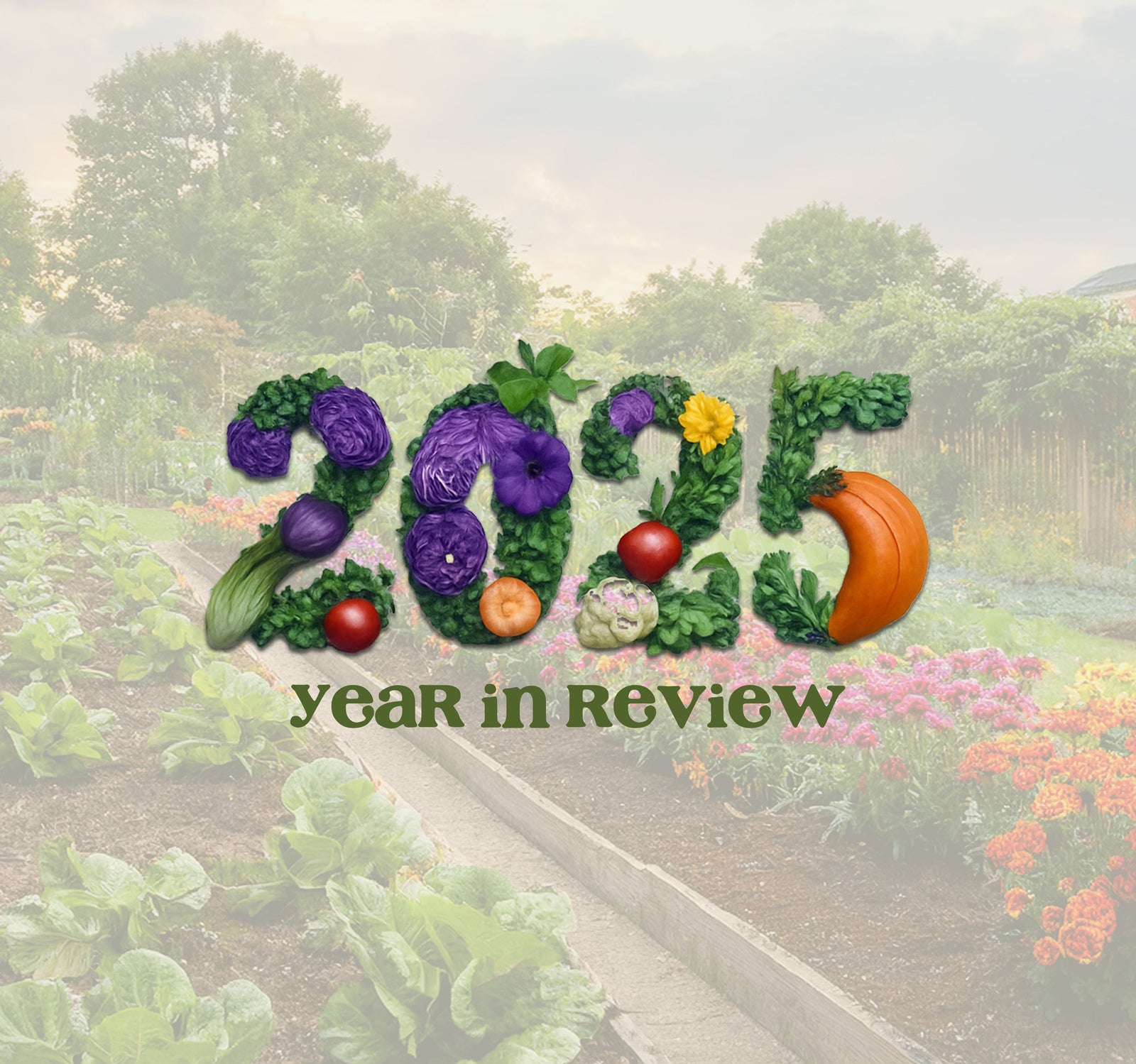 2025 — Year in Review