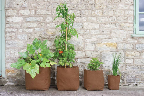 Product Bites - Hemp Pots & Planters - Garden Your Way