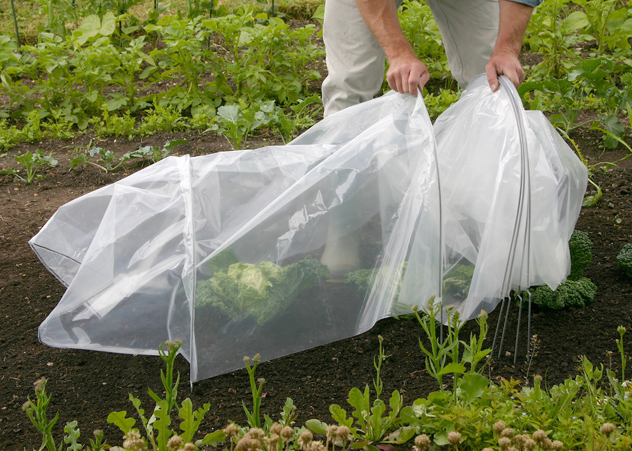 Product Bites - Easy Poly Tunnel & Giant Easy Poly Tunnel - Garden Your Way