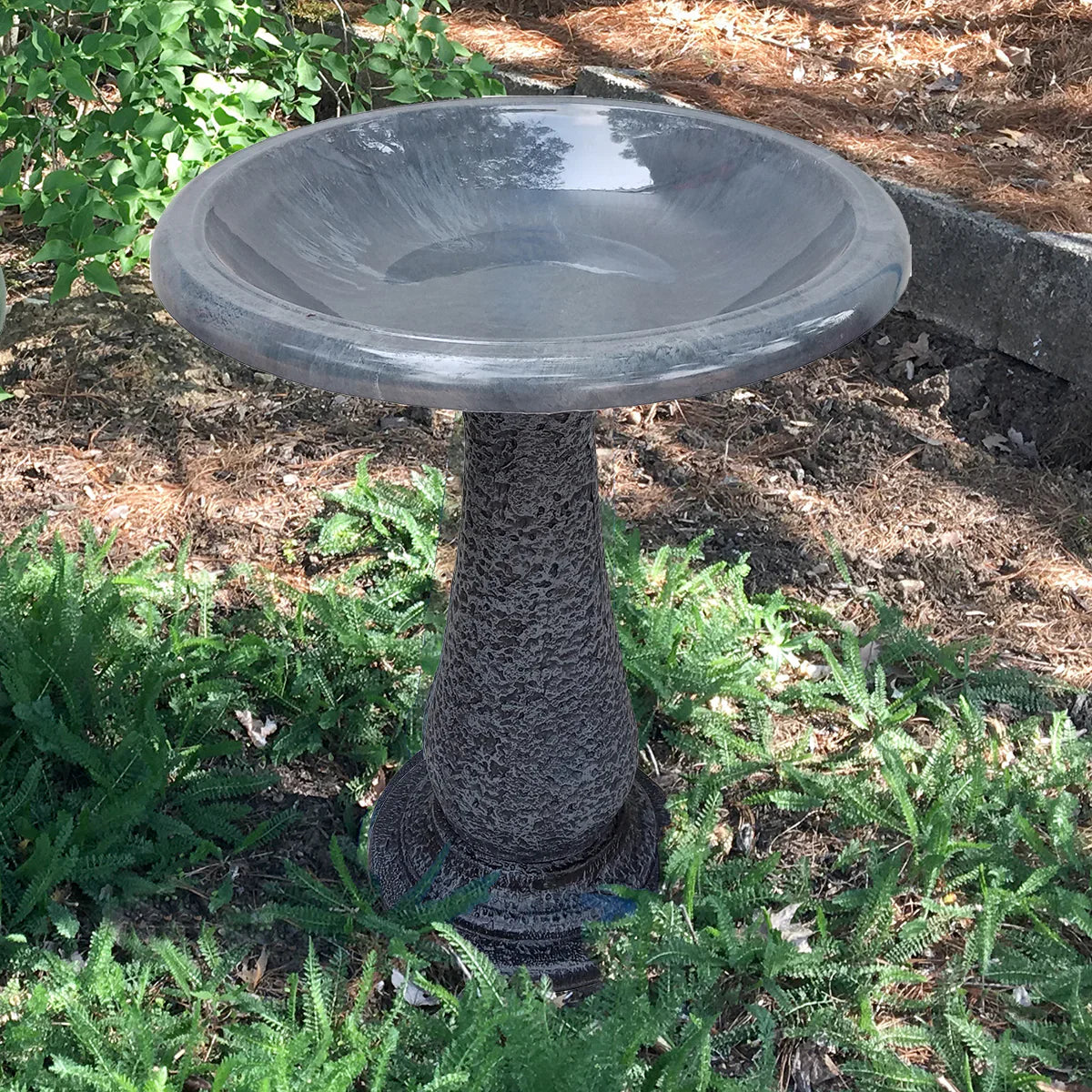 How beneficial are bird baths? - Garden Your Way