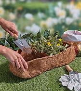 Why are coco liners so beneficial? - Garden Your Way