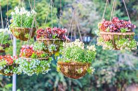 What are the best liners to use for your hanging baskets? - Garden Your Way