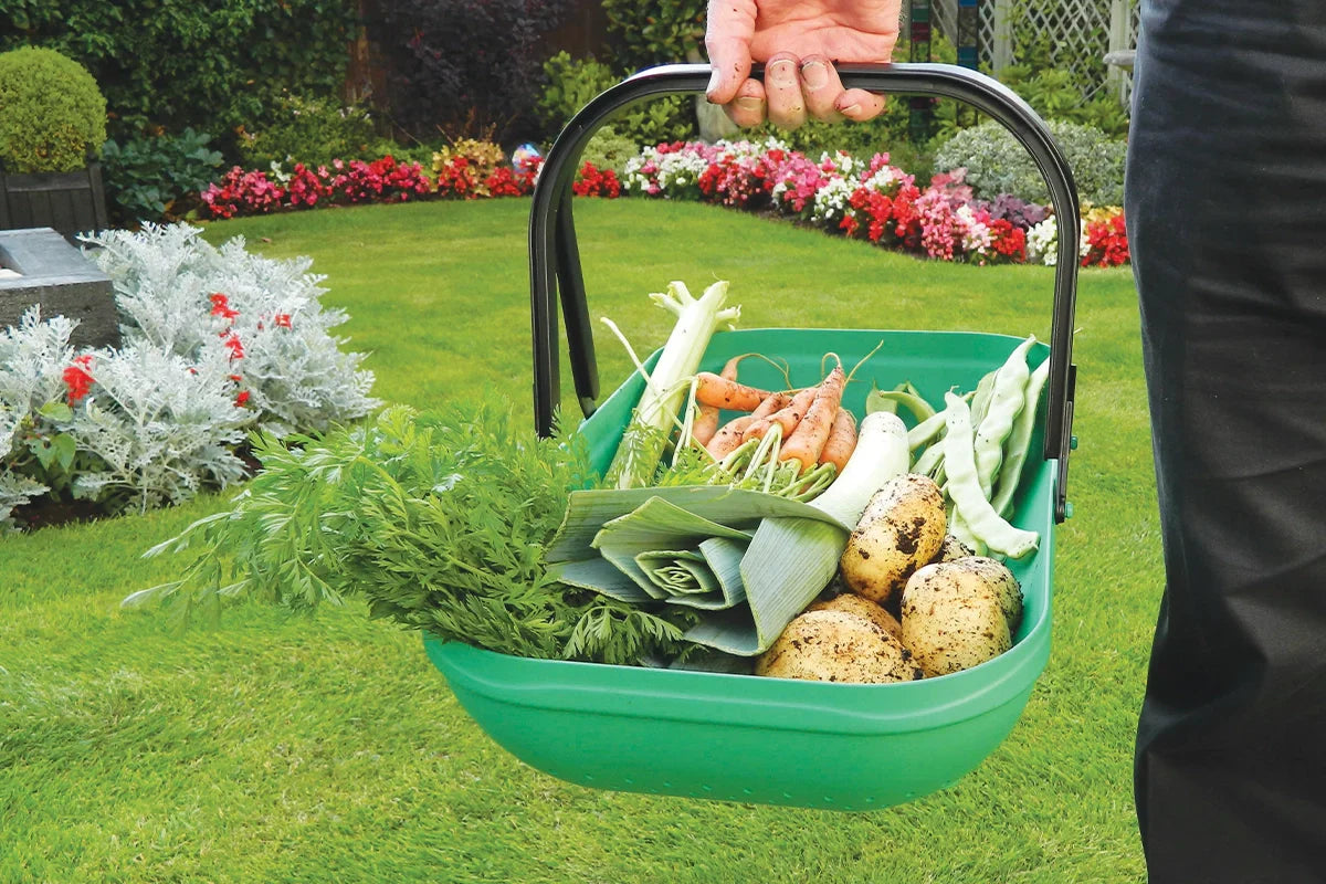 Eat What You Grow - Why Gardening is the Only New Year's Resolution You Need! – Part 2 of 7