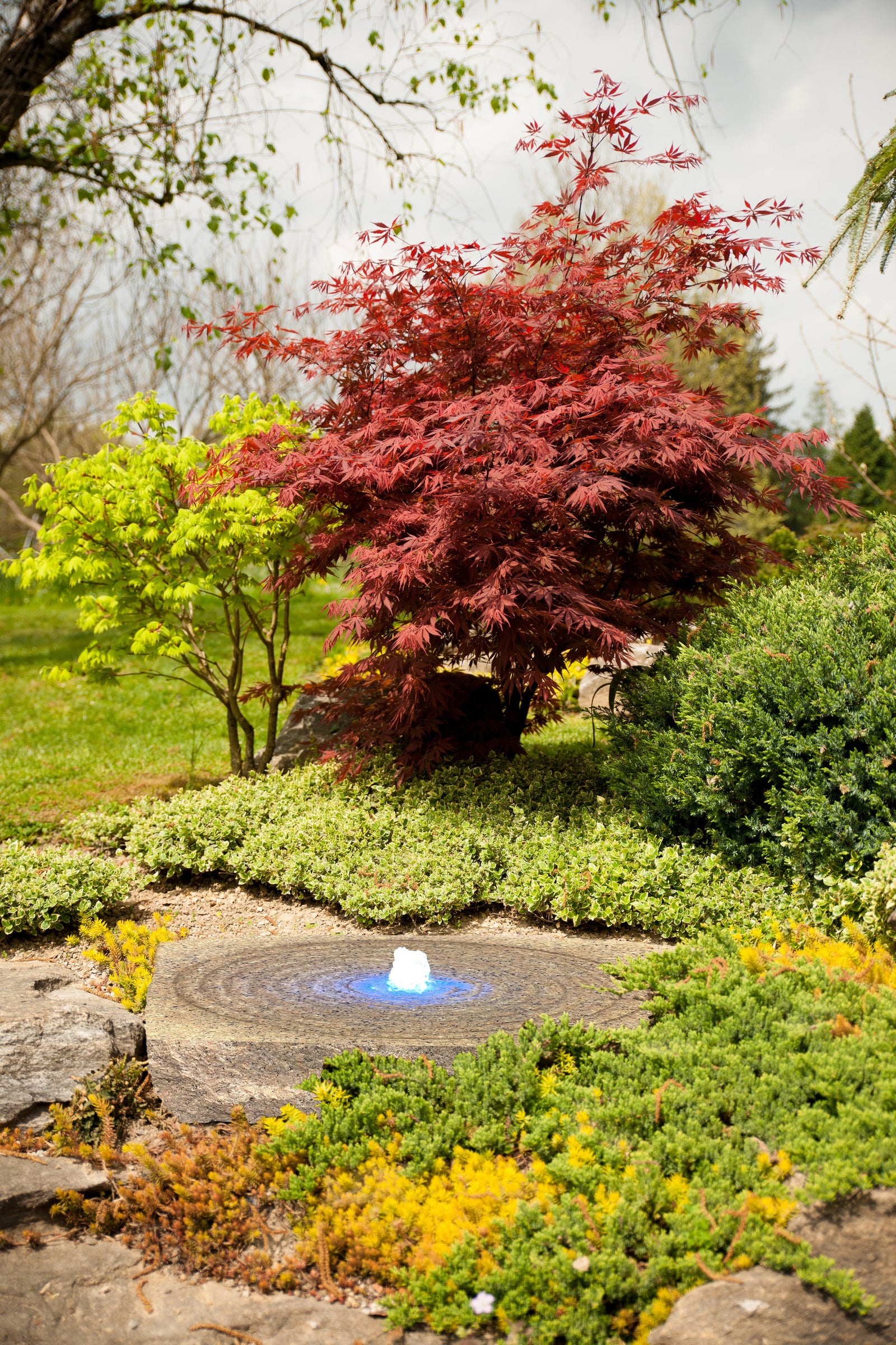 Square granite fountain with LED light nestled in a garden.