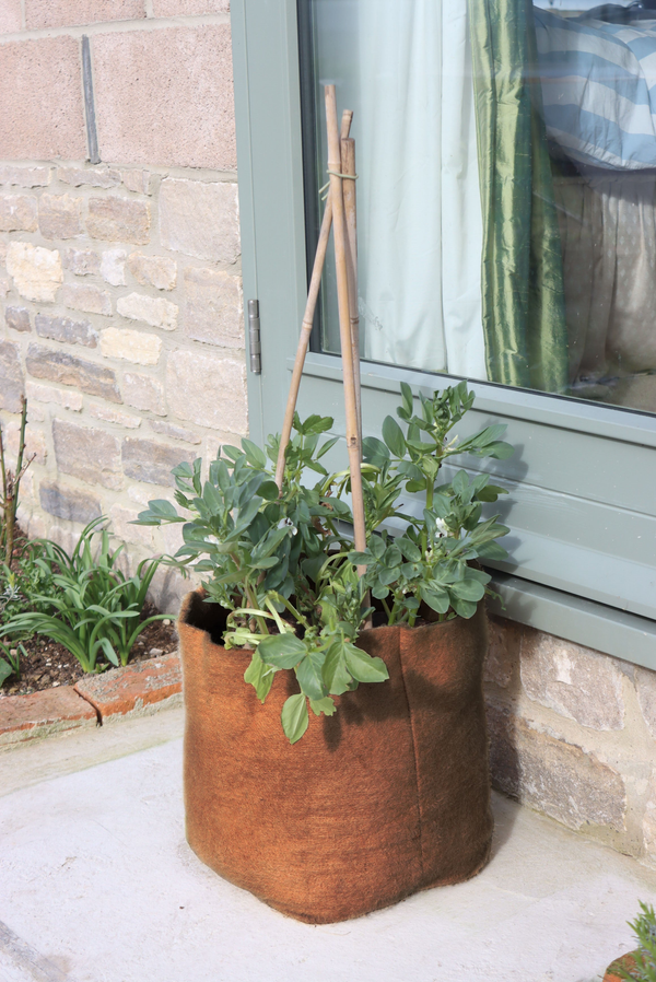 are fibre pots good for plants 10.5 gal. (40L) Hemp Fiber Planter | Containers – Garden Your Way