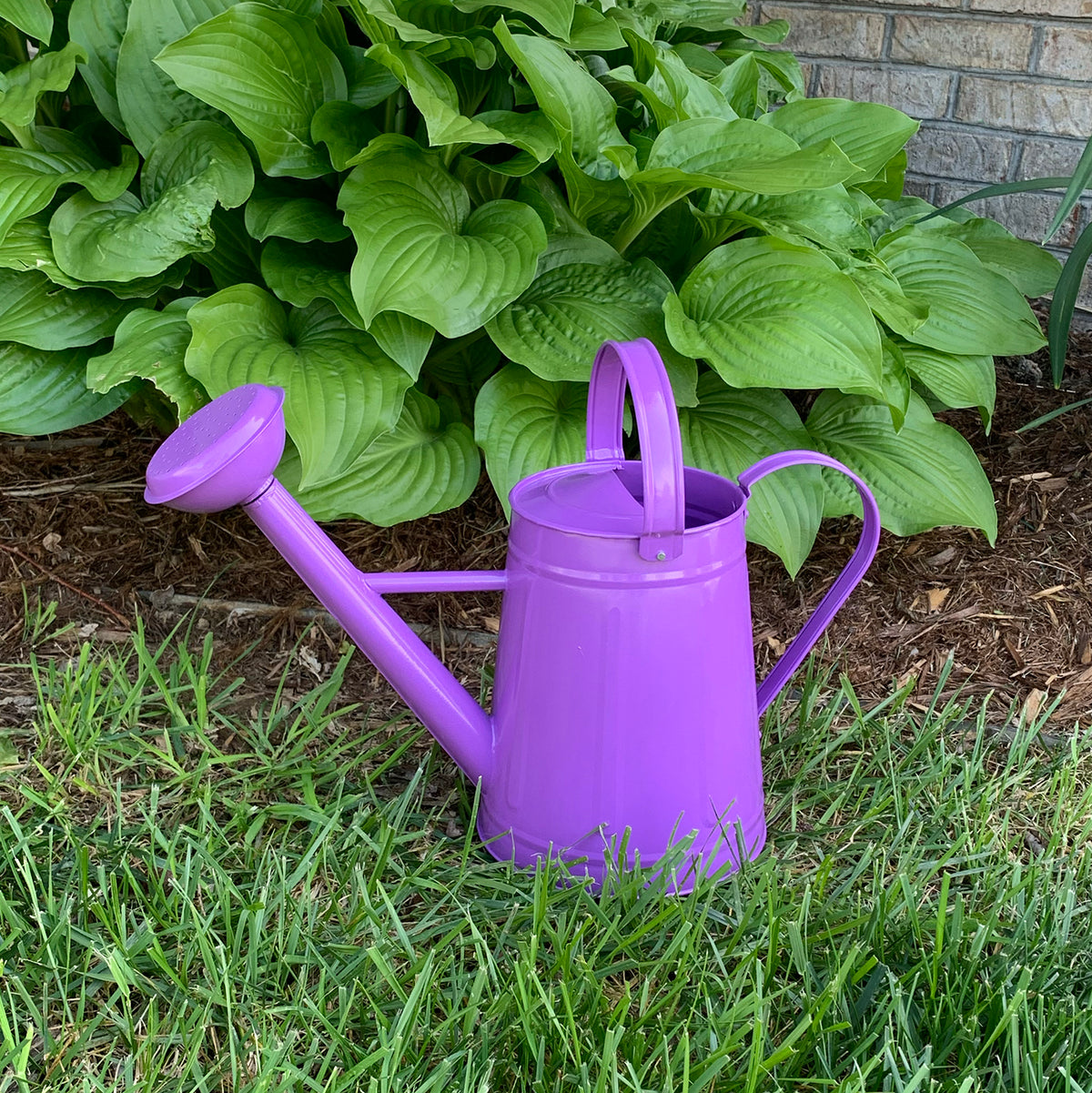 1.2 gal Violet Metal Watering Can