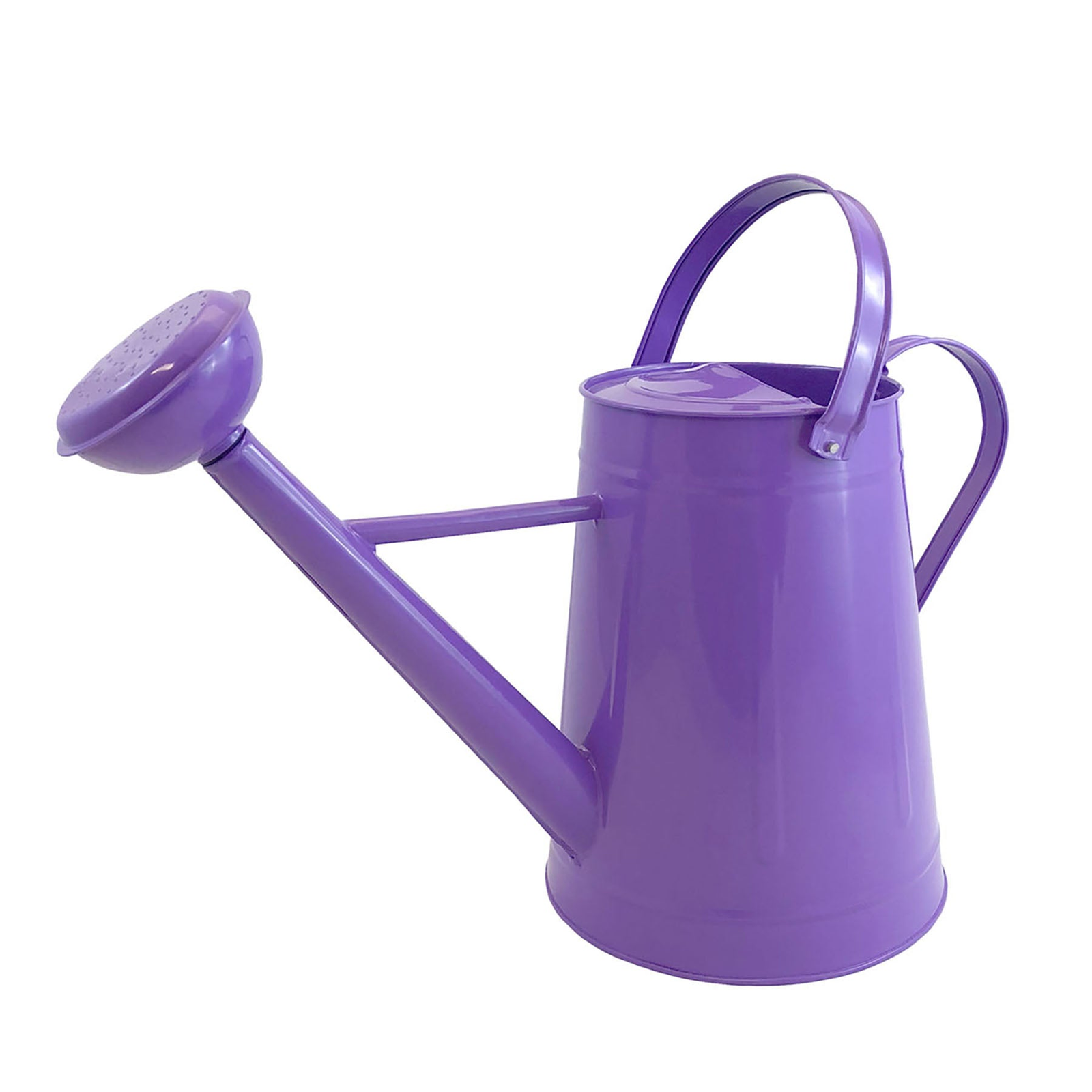 Violet 2.1-gallon metal watering can with dual handles and sprinkler head.