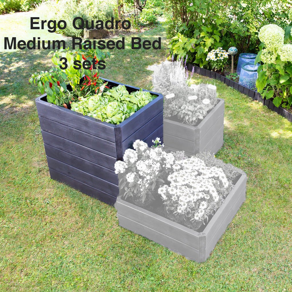 Ergo Quadro Medium Raised Bed