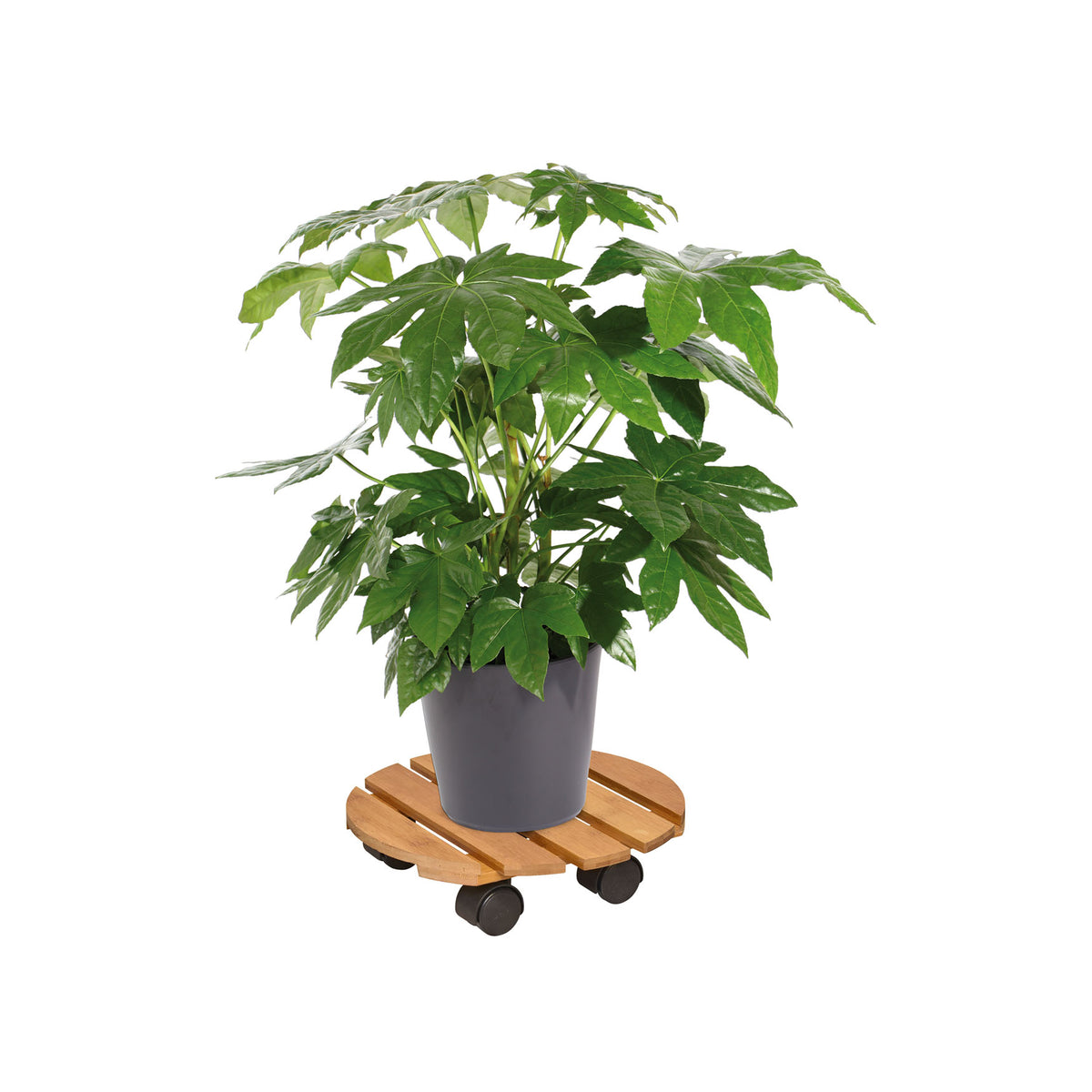 11.4&quot; Round Bamboo Plant Caddy