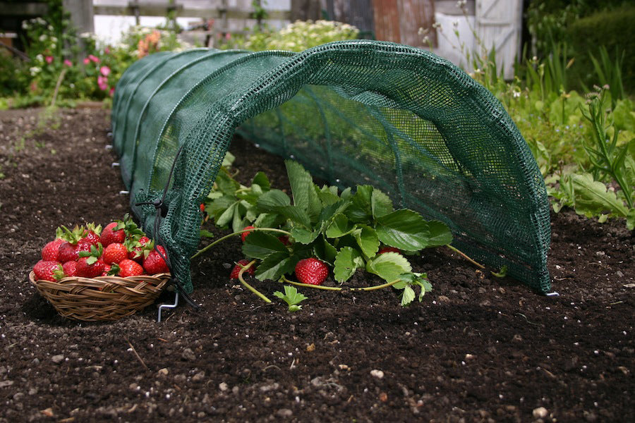 Product Bites - Easy Net Tunnels - Garden Your Way 