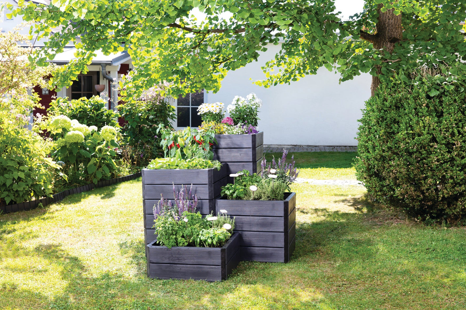 What is the purpose of raised plant beds? - Garden Your Way 