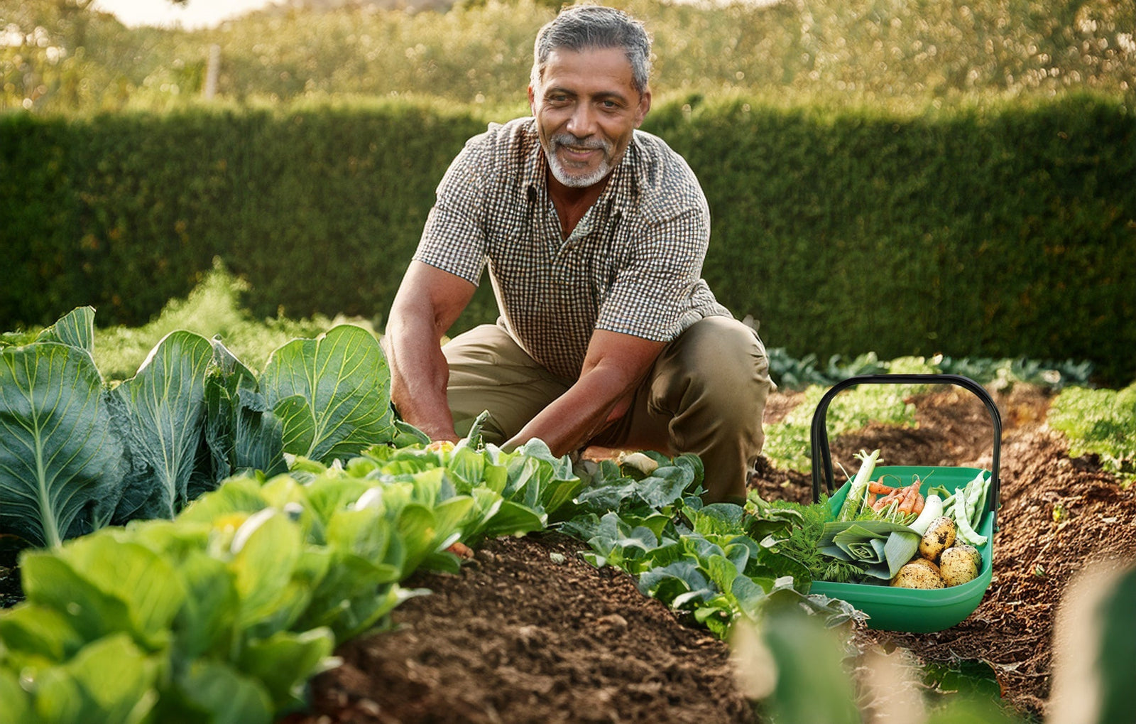 Father's Day Gift Guide