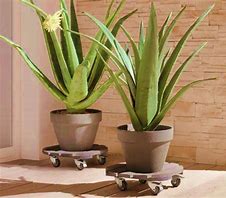 What are some different resources for transporting things around? - Garden Your Way 