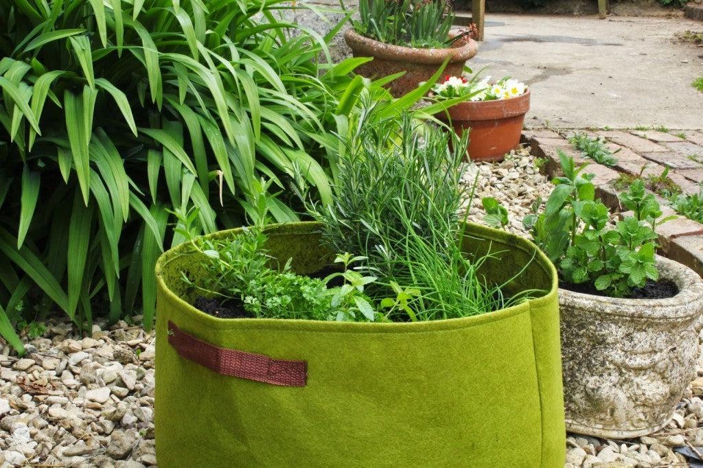 The Magic of Vigoroot - Garden Your Way 