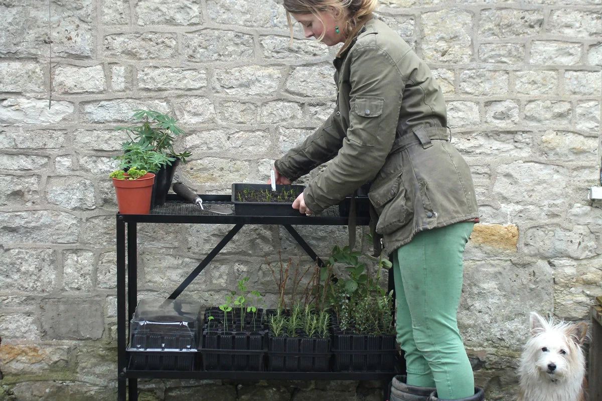 Women using the Haxnicks rootrainer racking system to get an early start on spring planting.
