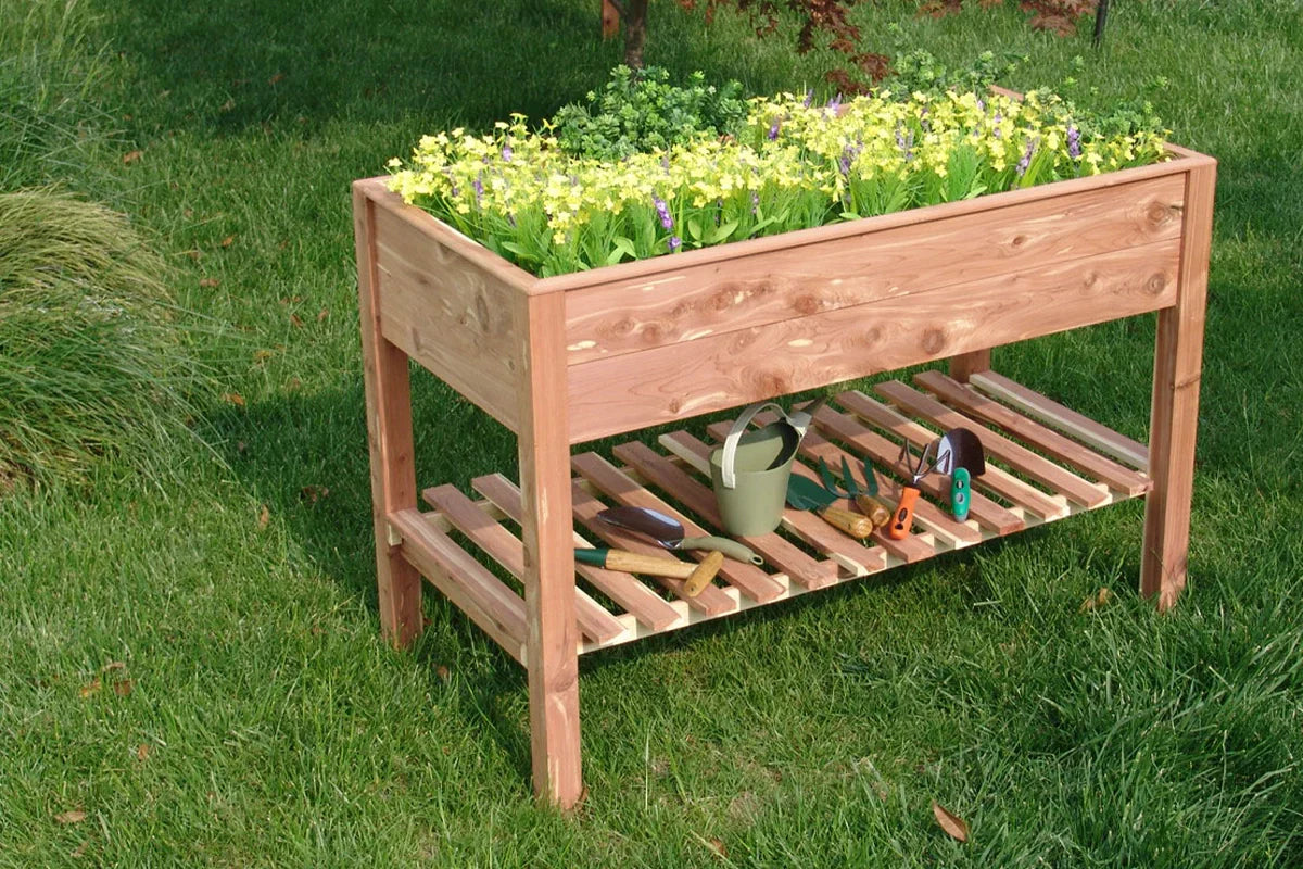 Raised garden bed full of fresh sprouts with supplies like a watering can and trowel on the lower shelf.