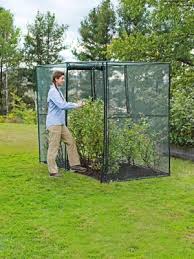 What are the best ways to keep your plants safe from harsh weather, animals, humidity changes, etc.? - Garden Your Way 
