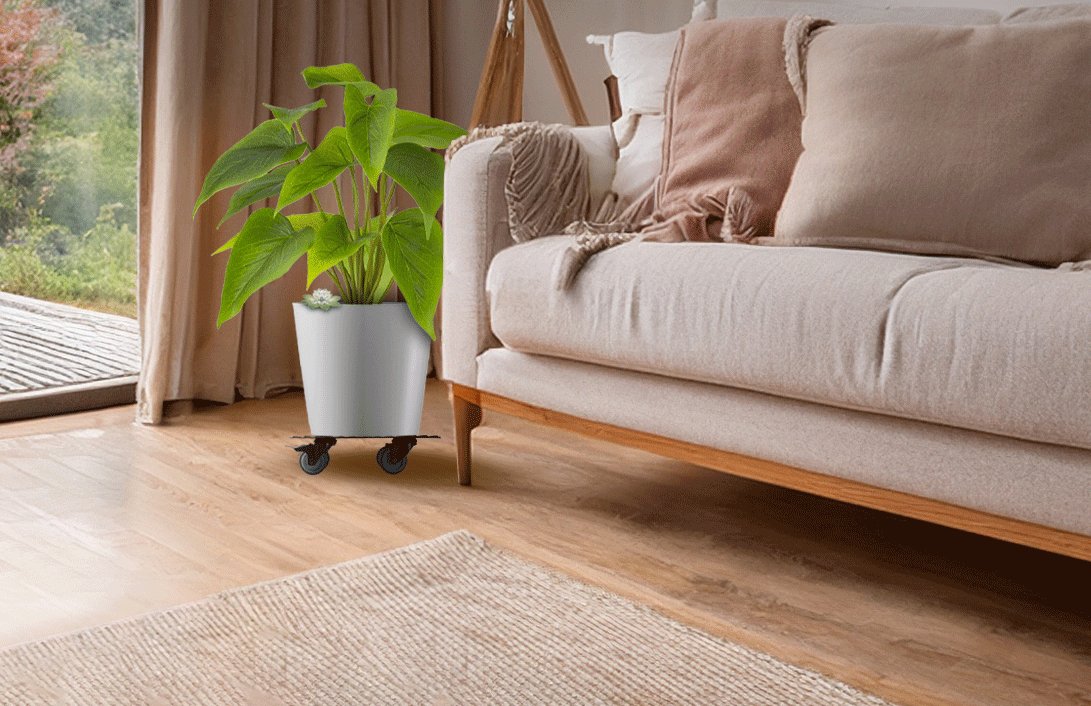 Premium Indoor Plant Kit displayed in a beautifully cozy living room