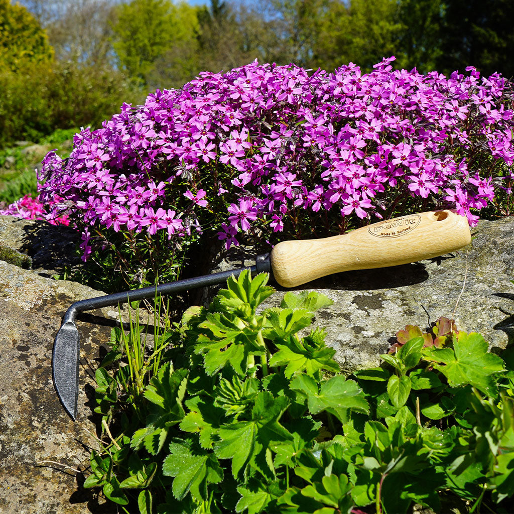 A DeWit Cape Cod weeder proudly displayed on a rock in front in front of purple flowers.