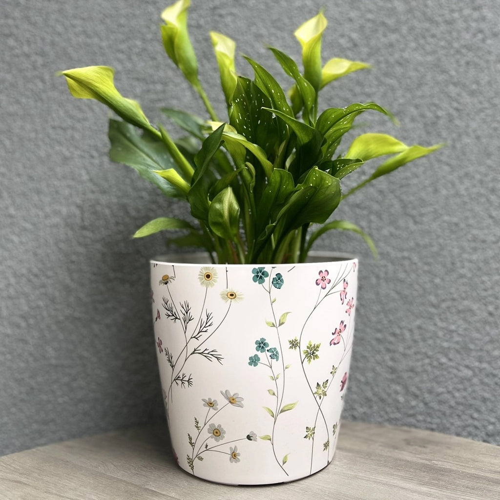 Bamboo Self-Watering Indoor/Outdoor Pots - Garden Your Way 