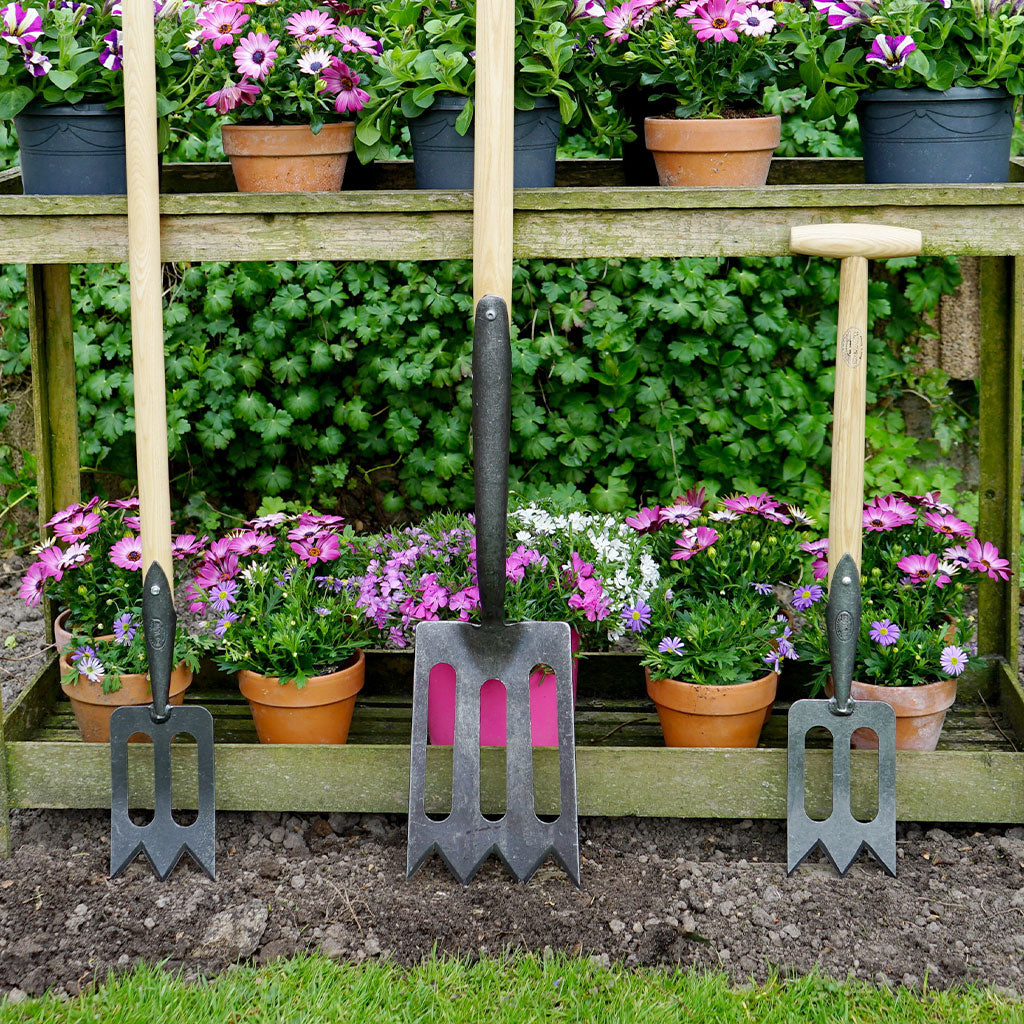 3 different DeWit garden spork sizes displayed in front of shelves holding potted petunias.