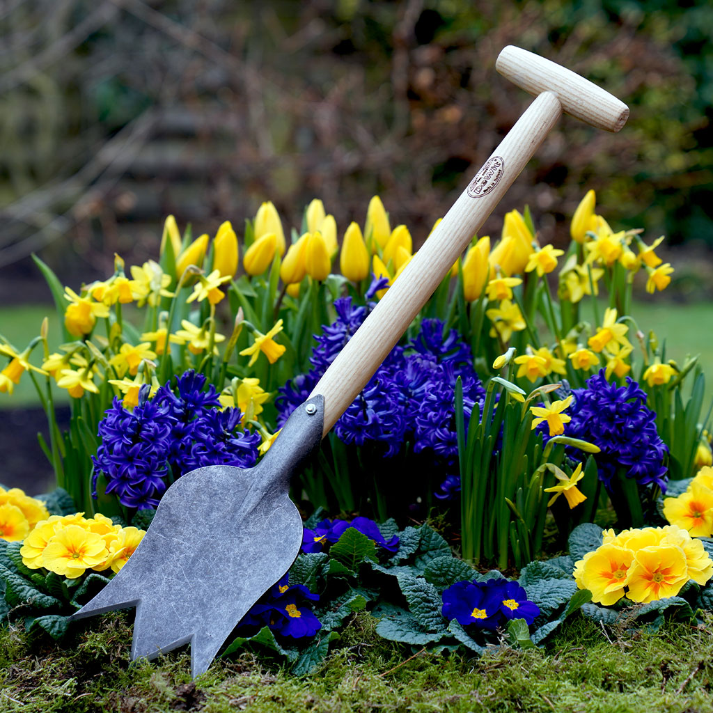 A DeWit tulip-edged garden spade in front of a bed of yellow tulips and other spring flowers.