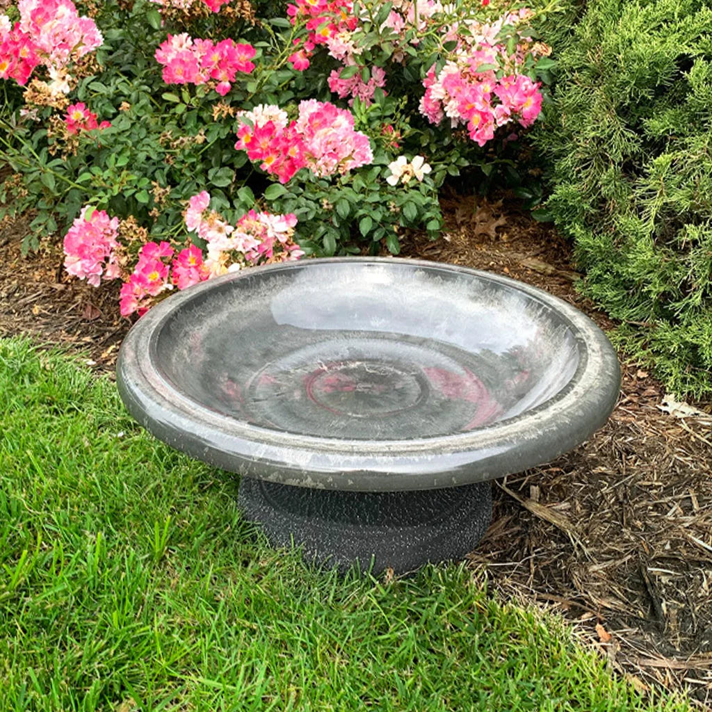 Birdbath with a short stand placed near a rose bush.