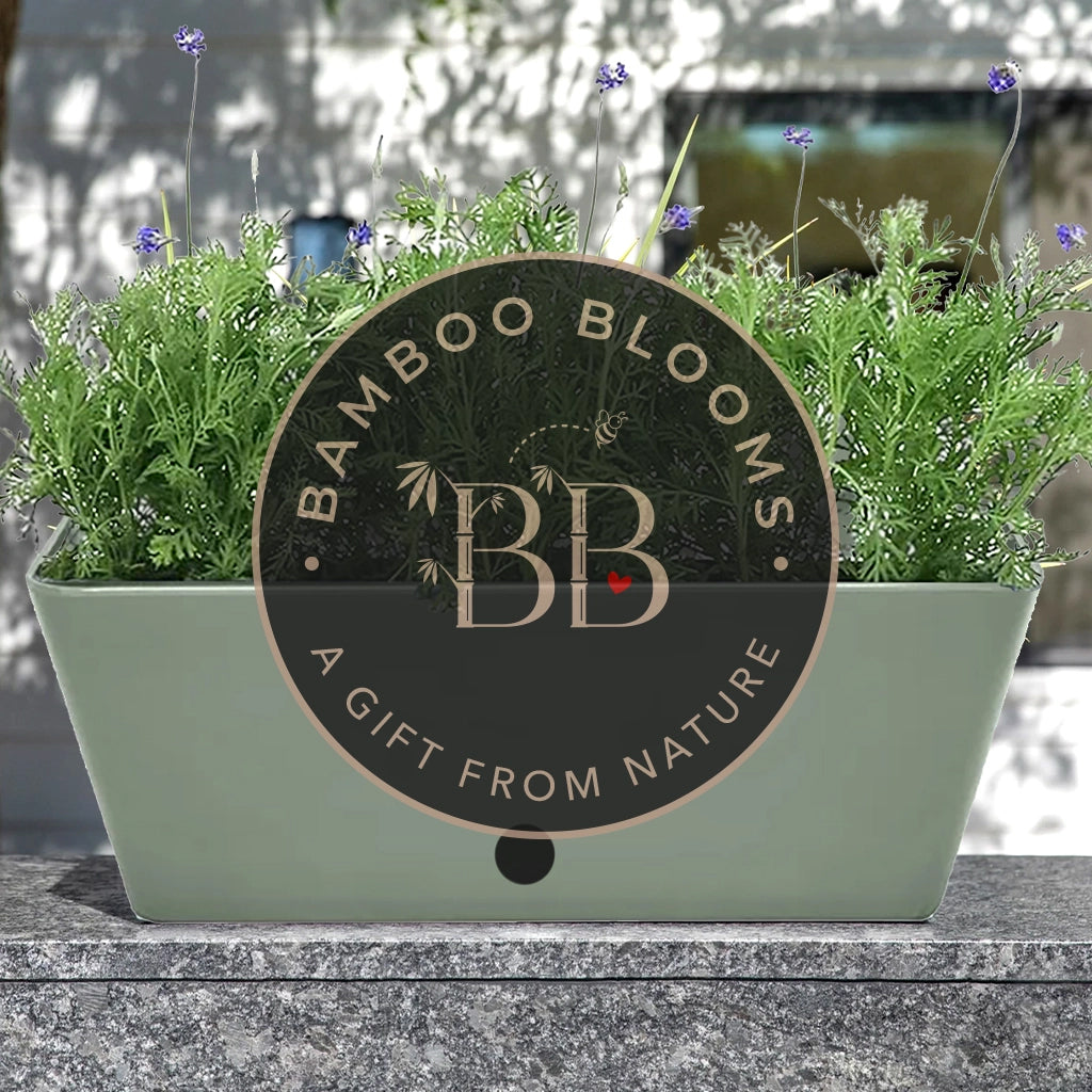 Bamboo Blooms - Garden Your Way 