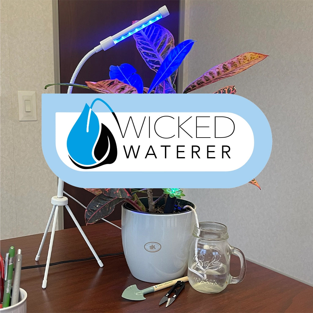 Wicked Waterer - Garden Your Way 