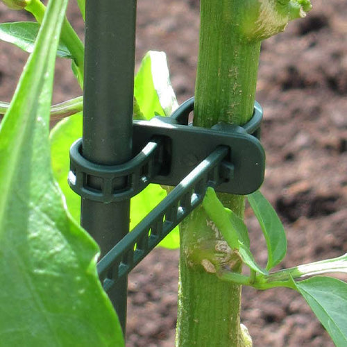 Plant Support Ties