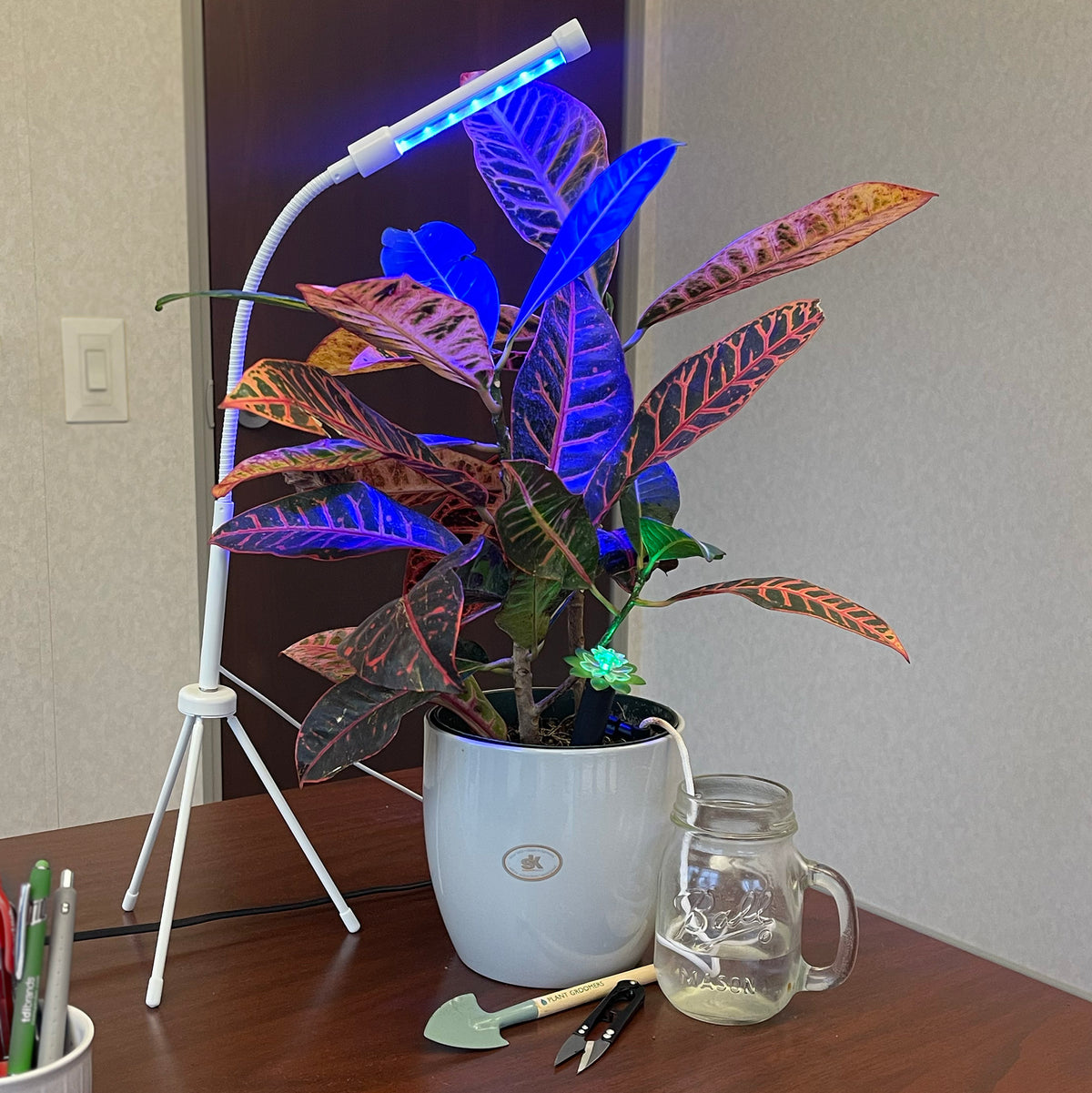 Plant Booster Grow Light w/Tripod base, Adjustable neck & Timer - Indoor Use - USB compatible