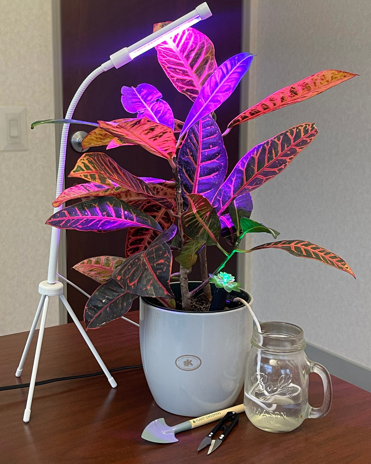 Plant Booster Grow Light w/Tripod base, Adjustable neck & Timer - Indoor Use - USB compatible