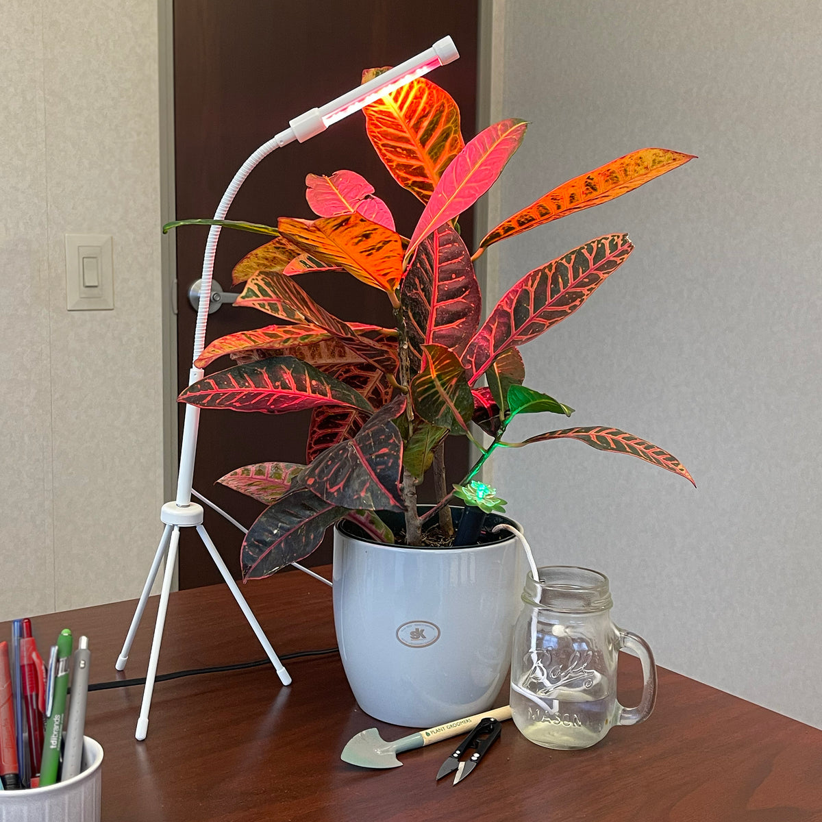 Plant Grow & Groom 3 Pc Kit, includes Grooming Kit, Spike Water Kit, and a Plant Grow Light