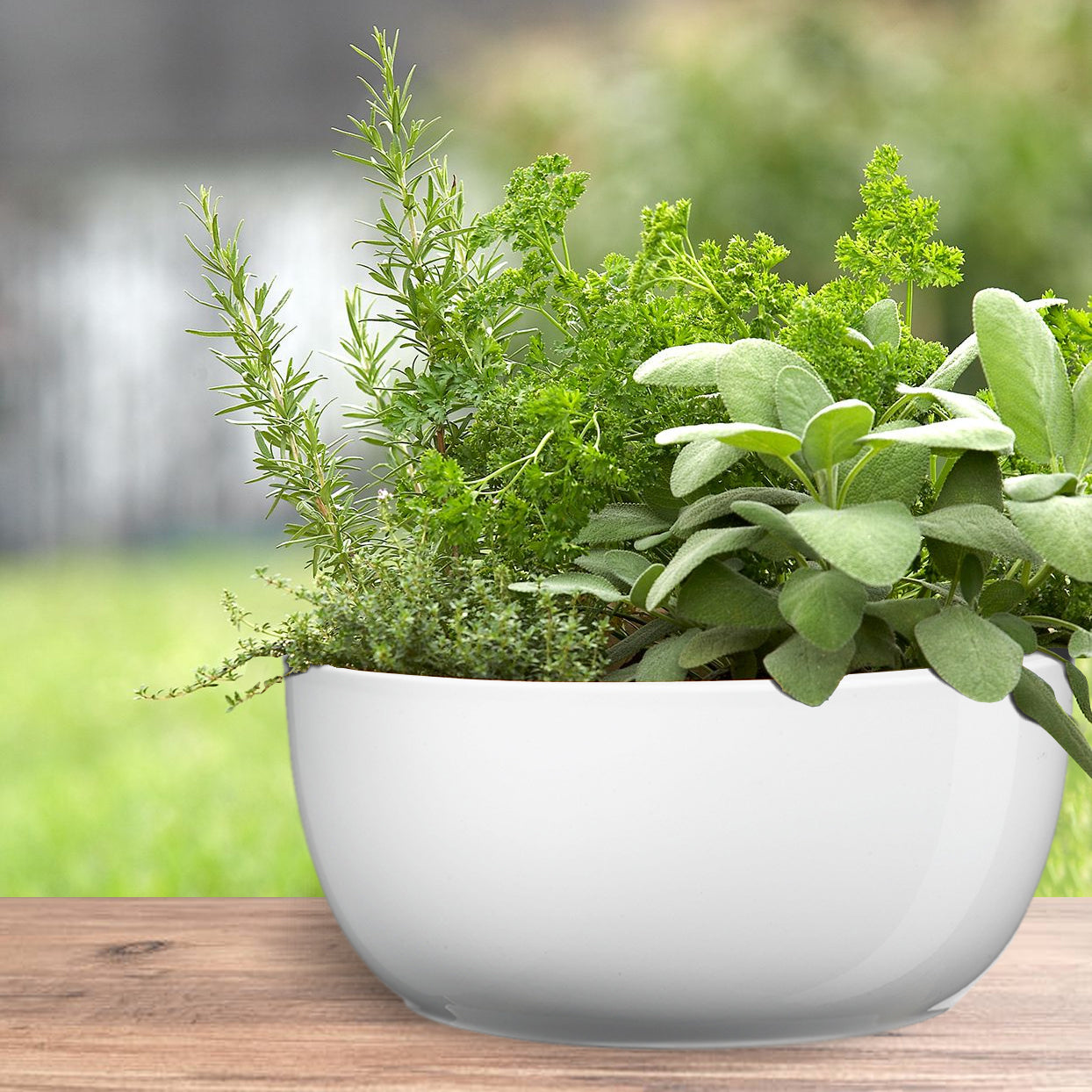 inside pot plants 6.3" Shiny White Ceramic Basel Full Color Pot