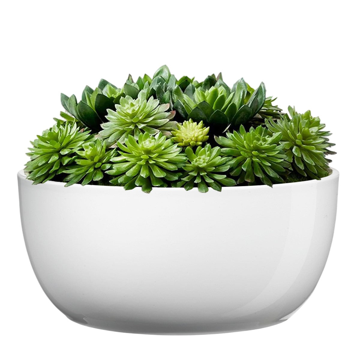Shiny white ceramic indoor plant pot with succulents, 6.3-inch diameter.