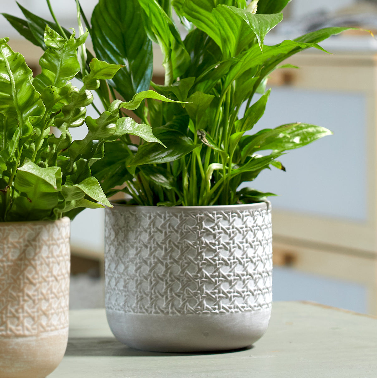 5.1" Silk Gray Ceramic Vienna Pot