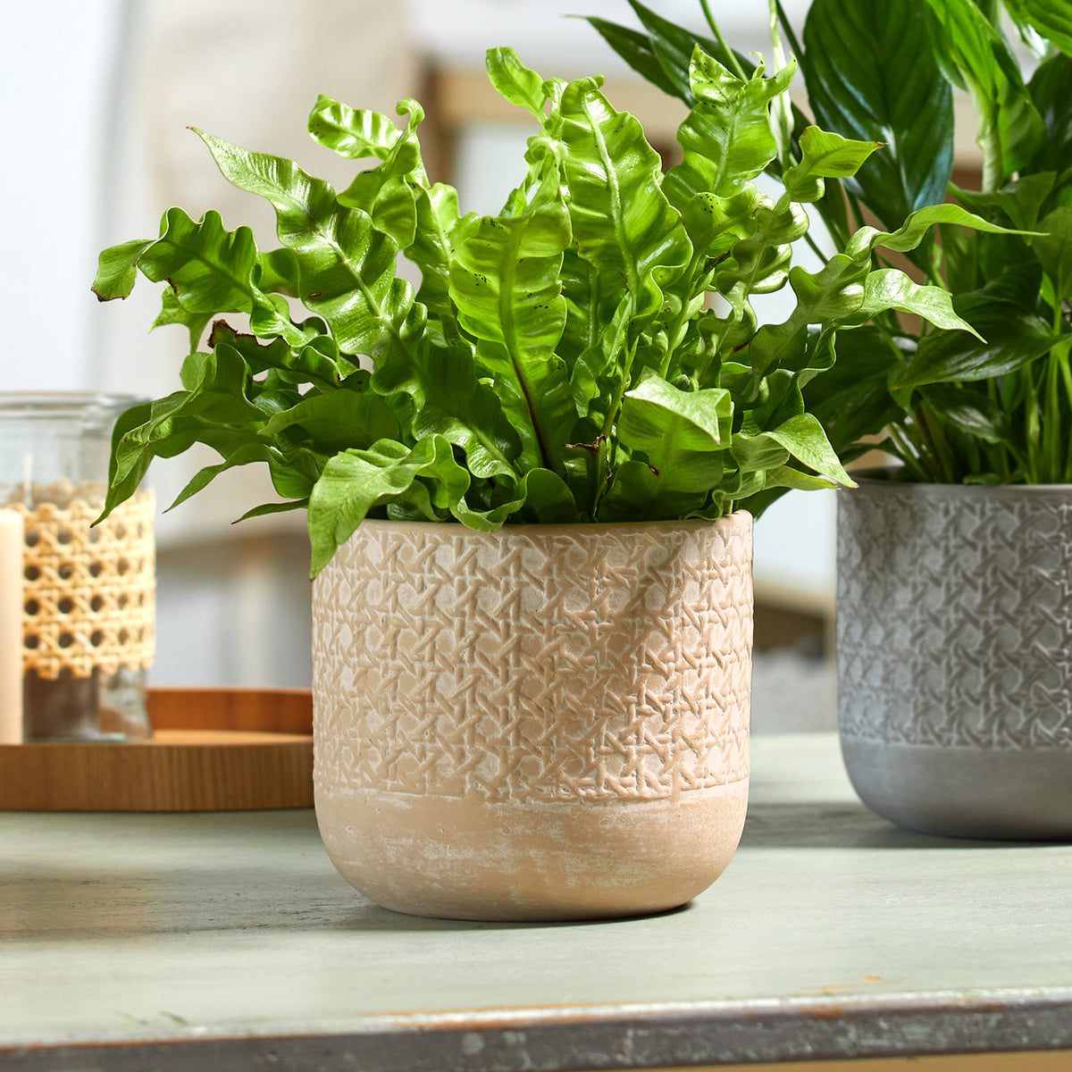 5.1" Natural Beige Ceramic Vienna Pot