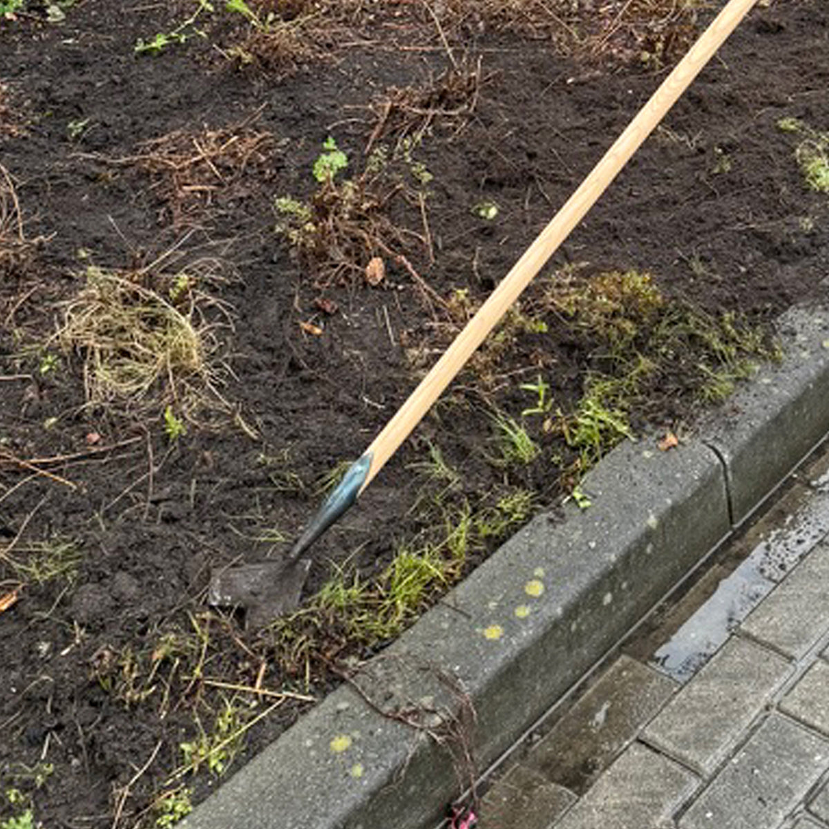 DeWit Weedivator – Ergonomic Stand-Up Weeder with P-Grip Handle