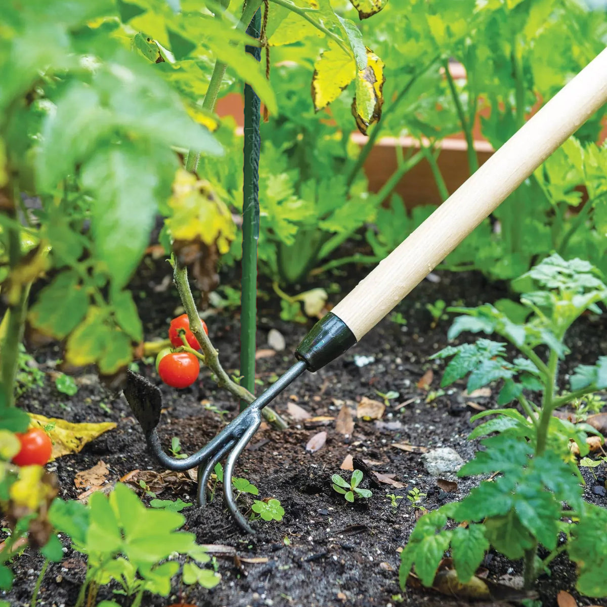 DeWit Comby Hoe – 3-Tine Cultivator & Half-Moon Hoe with Long Handle | Premium Hand-Forged Garden Tool