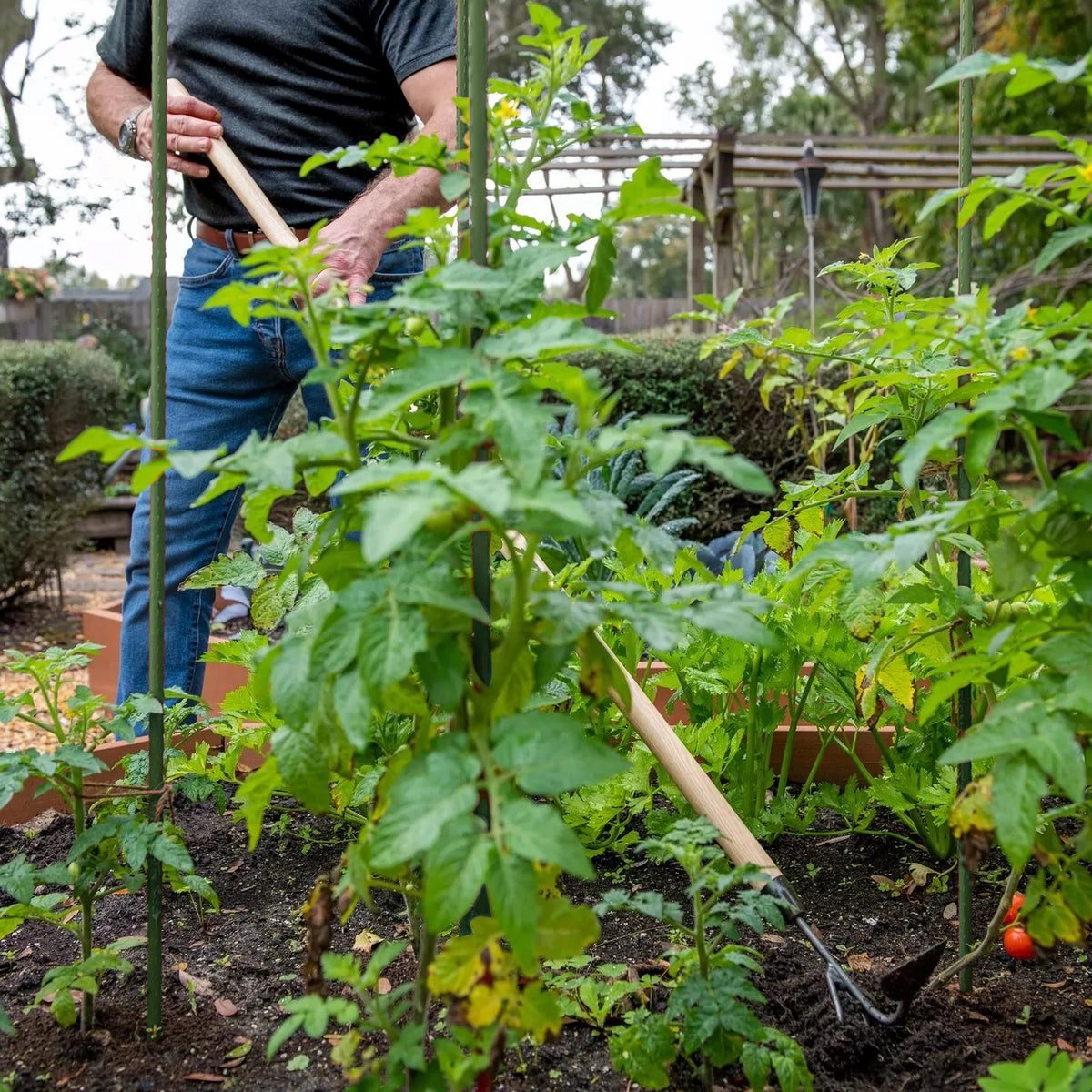 DeWit Comby Hoe – 3-Tine Cultivator & Half-Moon Hoe with Long Handle | Premium Hand-Forged Garden Tool