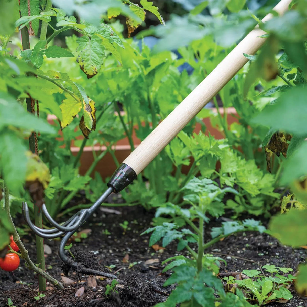 DeWit Comby Hoe – 3-Tine Cultivator & Half-Moon Hoe with Long Handle | Premium Hand-Forged Garden Tool