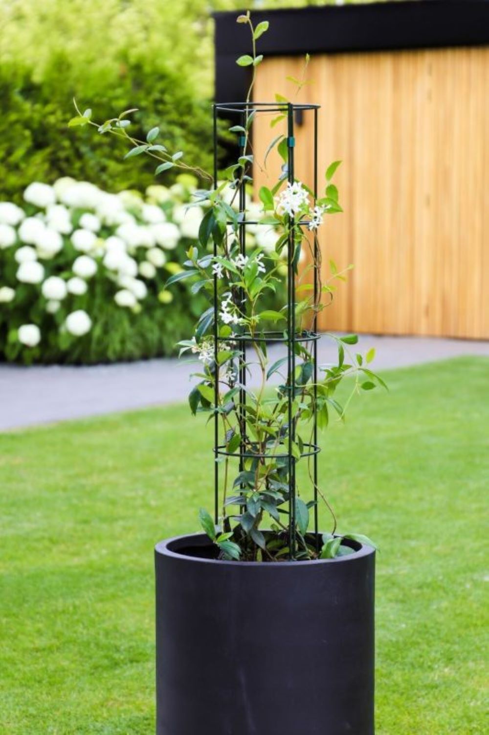 pot climbing plants Plant Trellis Kit- Small Circle