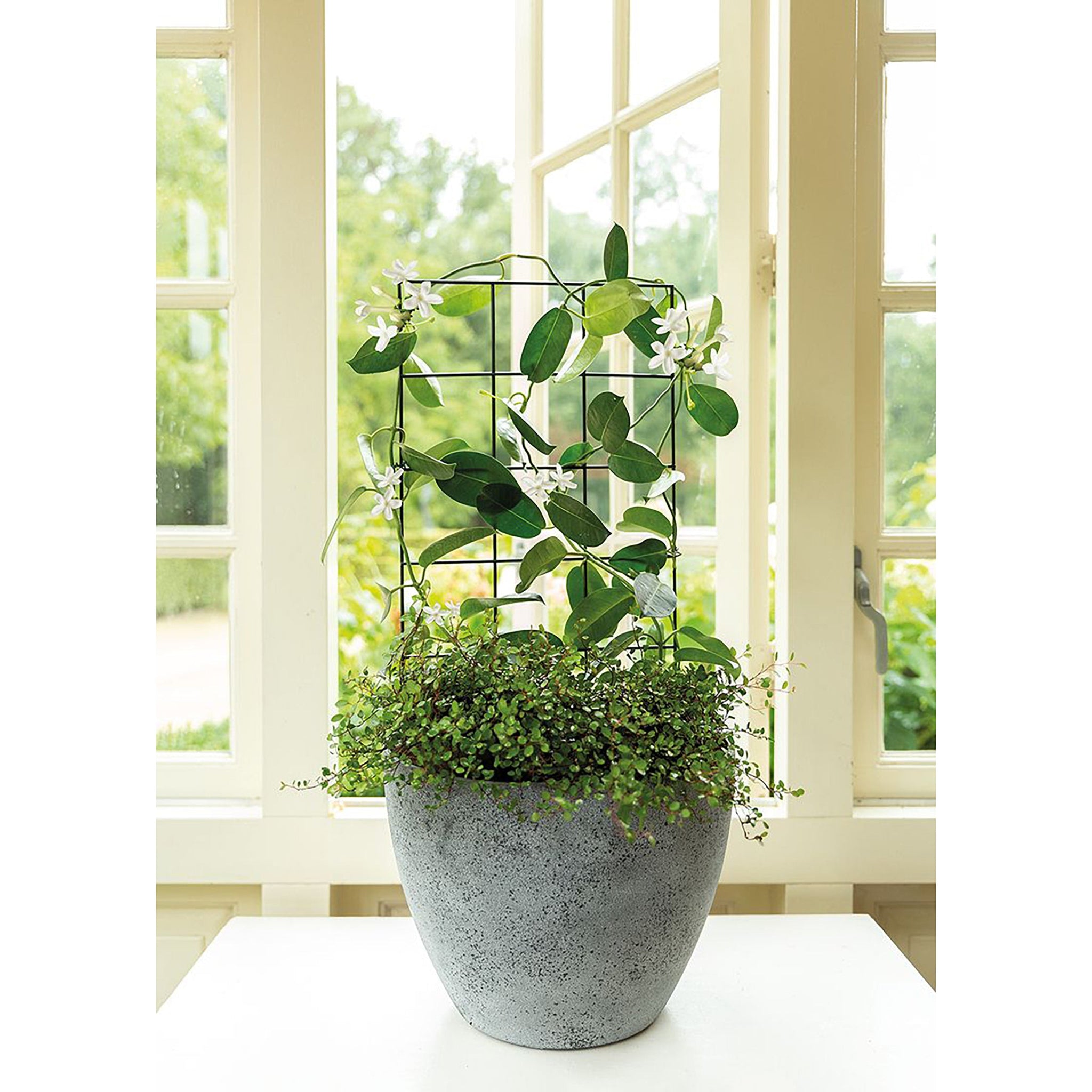 trellis kit for climbing plants 5" Galvanized Steel Plant Trellis Kit – Sturdy, Versatile Support