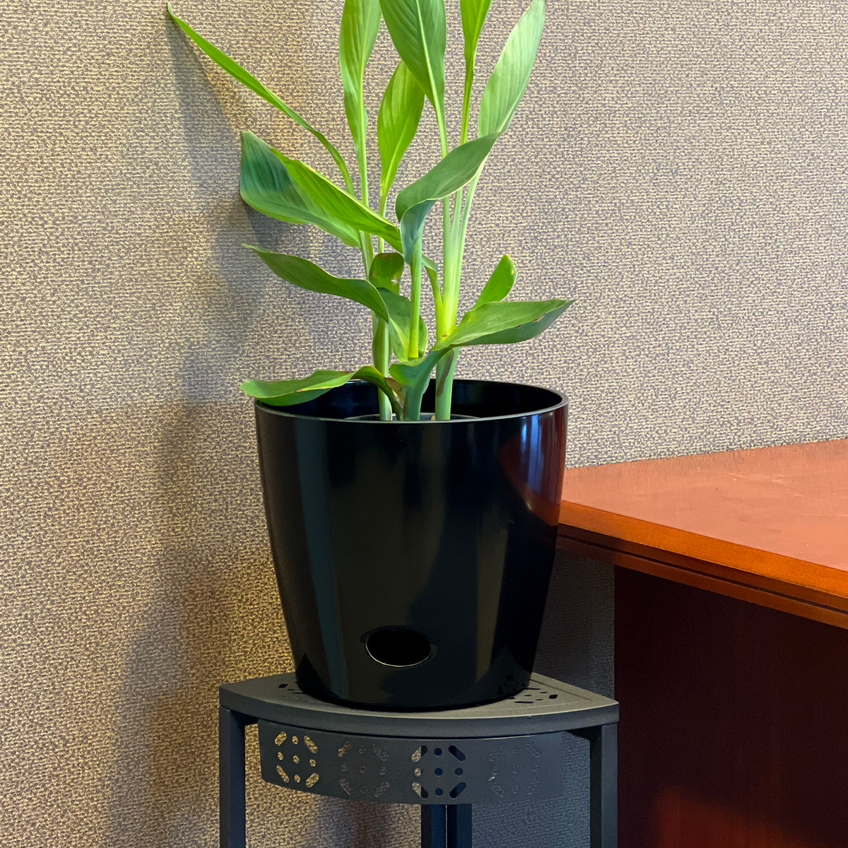 planting black bamboo in pots Self-Watering Pot Set of 2 – 10" Black & Gray | Eco Bamboo Planters