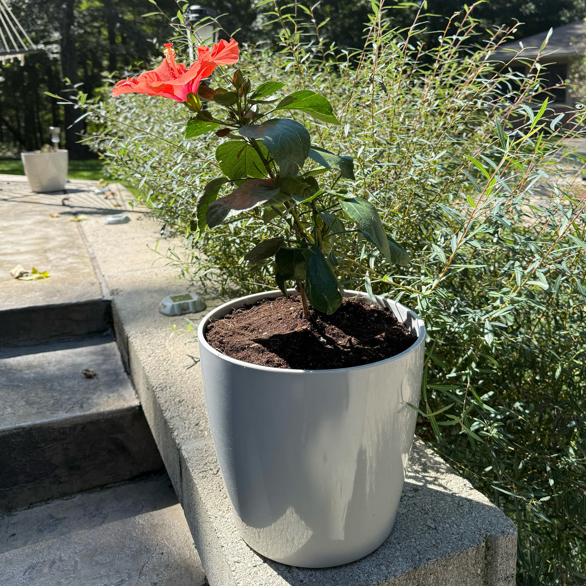 10" Gray Round Bamboo Self-Watering Indoor/Outdoor Plant Pot