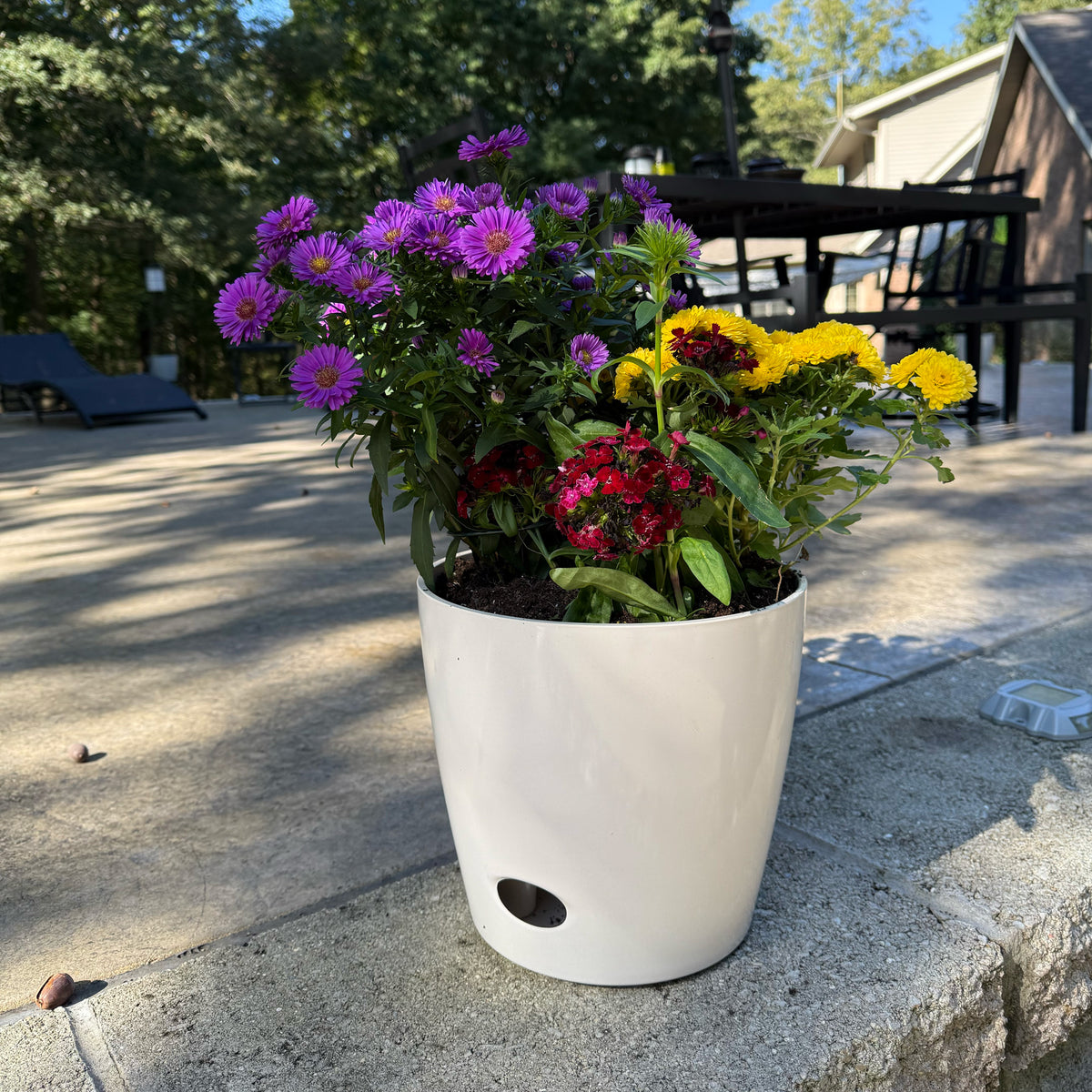 10" Cream Round Bamboo Self-Watering Indoor/Outdoor Plant Pot