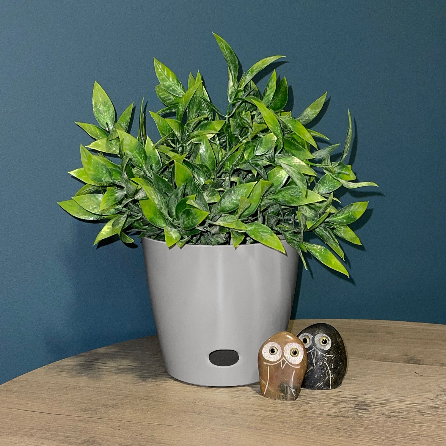 bamboo plant pots outdoor 5" Gray Round Self-Watering Bamboo Pot