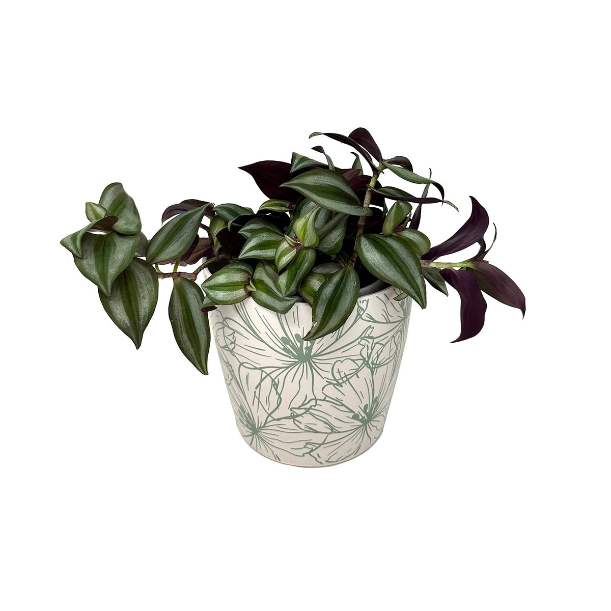 Self-Watering Plant Pot Set of 2, 5" Green Flower & 7" Sage Green