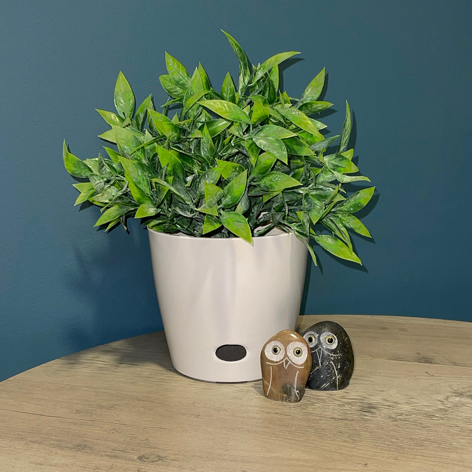 cream indoor plant pots 5" Cream Round Self-Watering Bamboo Pot