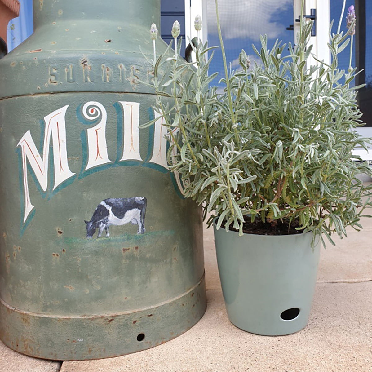 Self-Watering Plant Pot Set of 2, 5" Green Flower & 7" Sage Green